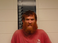 Mugshot of Hayden, Ronald James