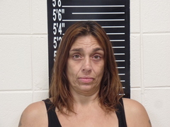 Mugshot of Dietz, Leslie Marie